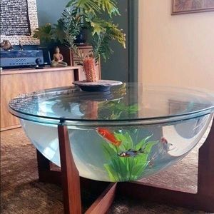 Meet your Posher, Dalton